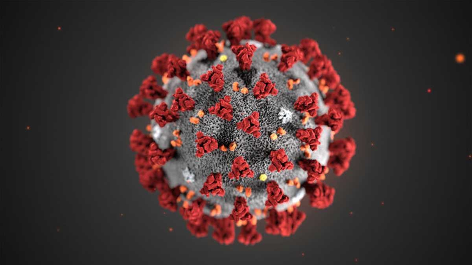 e8b73e3e-an-illustration-created-by-the-centers-for-disease-control-and-prevention-shows-the-structure-of-the-coronavirus-now-named-covid-19-1